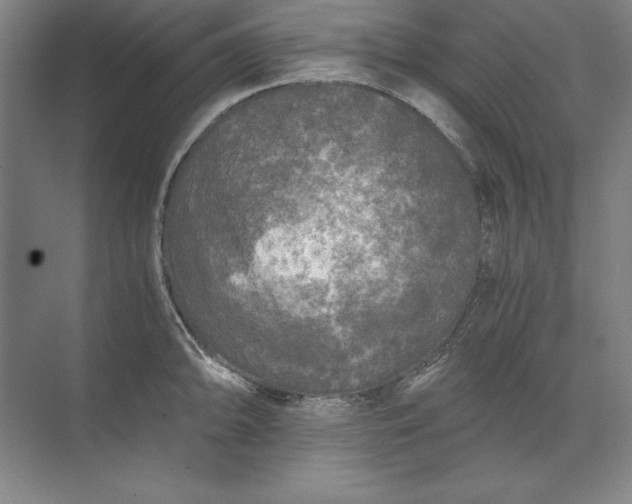 X0000071331094200607071626