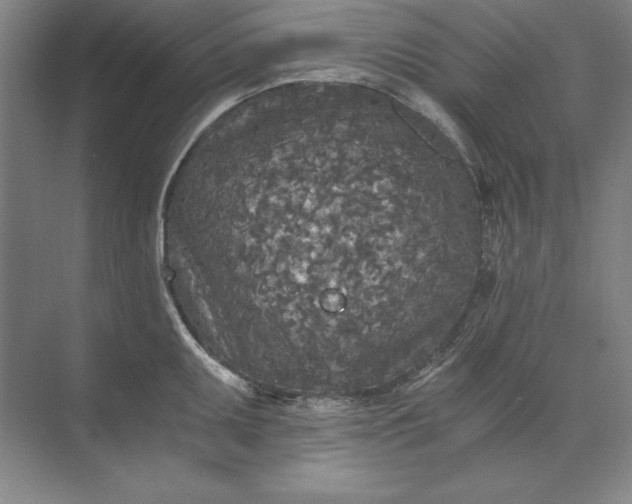 X0000071331095200607071626