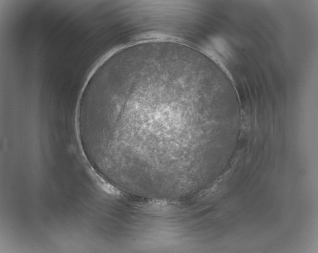 X0000071331098200607071626