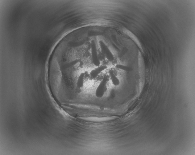 X0000071331099200607071626