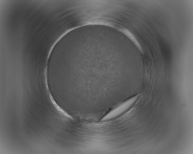 X0000071331100200607071626