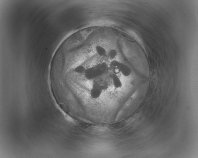 X0000071331103200607071626