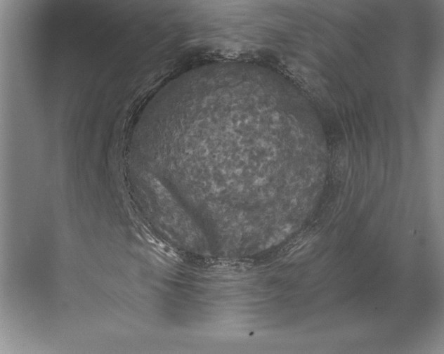 X0000071331105200607071625