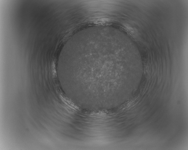 X0000071331106200607071625