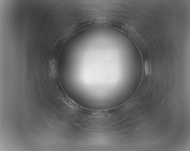 X0000071331107200607071625