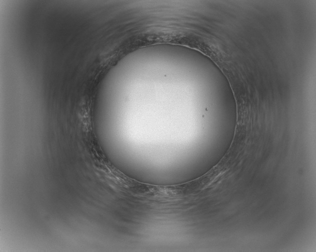 X0000071331109200607071625