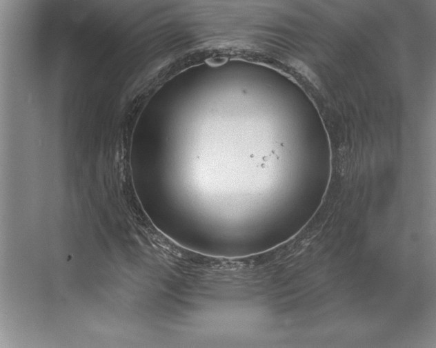 X0000071331111200607071625