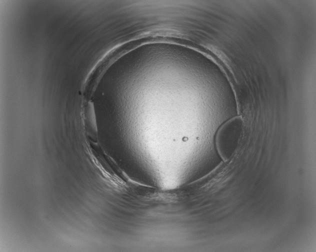 X0000071331115200607071625