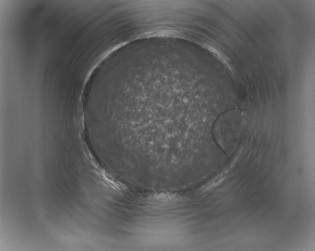 X0000071331117200607071625