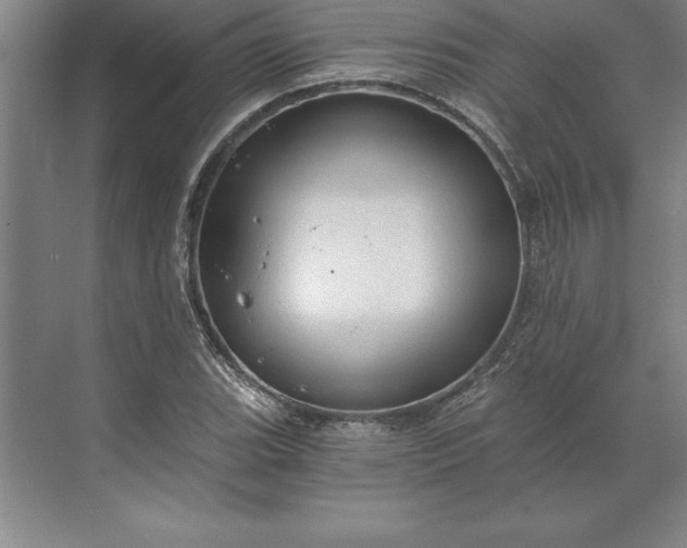 X0000071331119200607071625