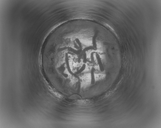 X0000071331125200607071625