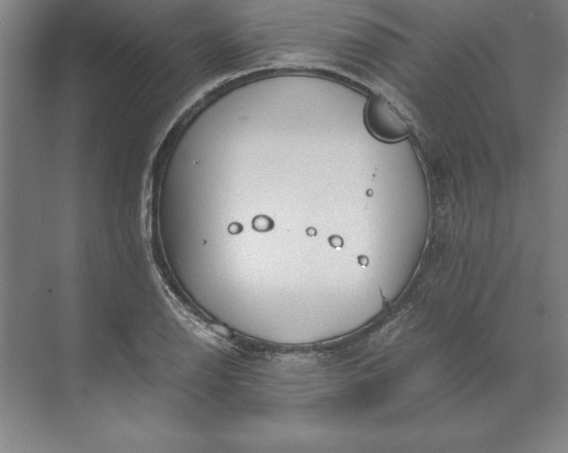 X0000071331126200607071625