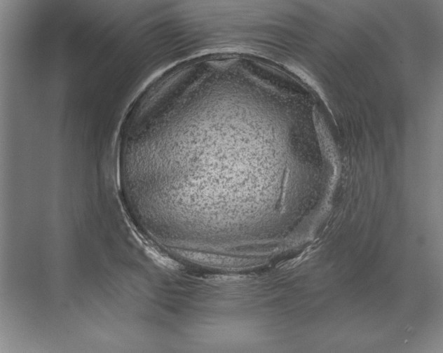 X0000071331127200607071625