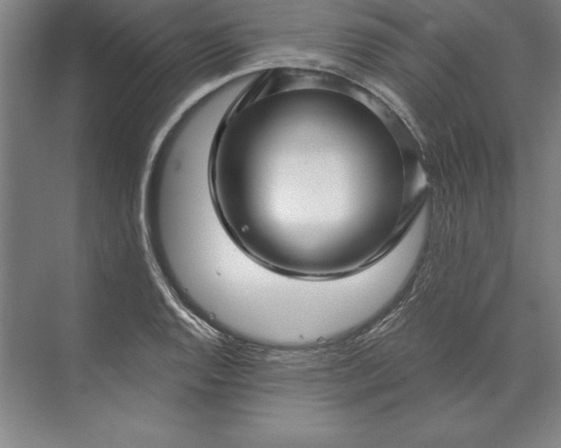 X0000071331128200607071625