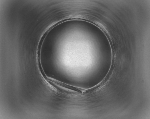 X0000071331133200607071625