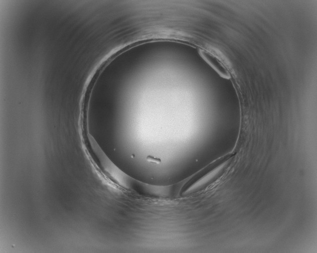 X0000071331136200607071625