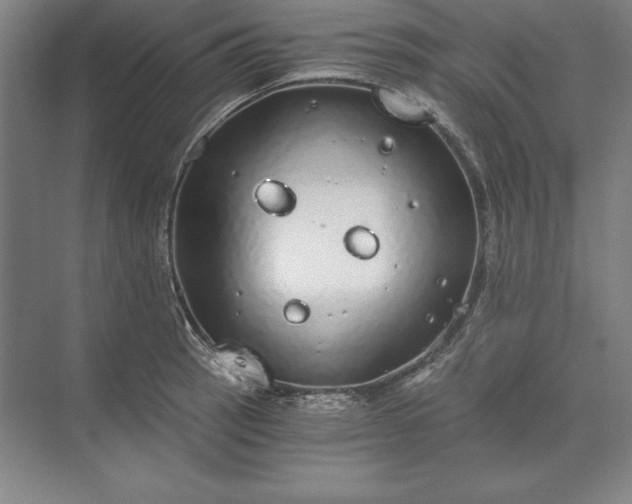 X0000071331137200607071625