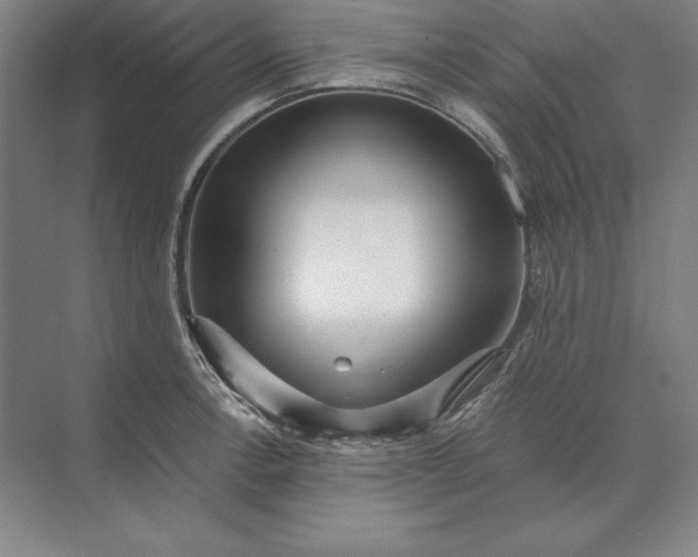 X0000071331138200607071625