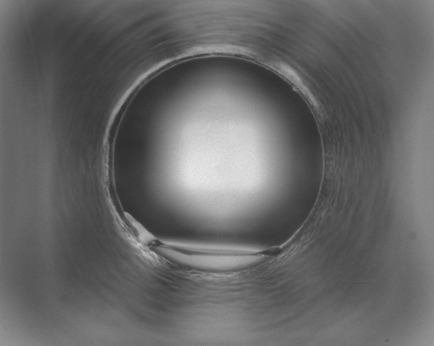 X0000071331140200607071625