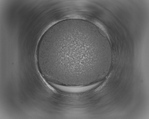 X0000071331141200607071625