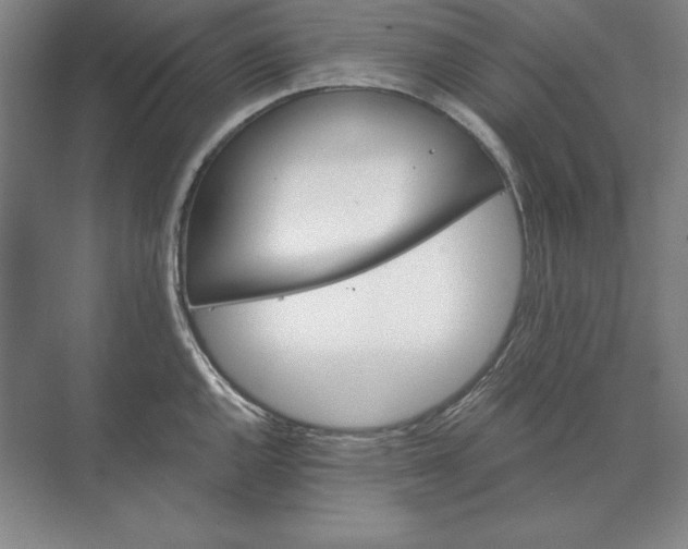 X0000071331144200607071625