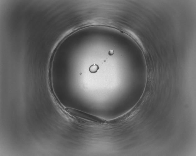 X0000071331146200607071625