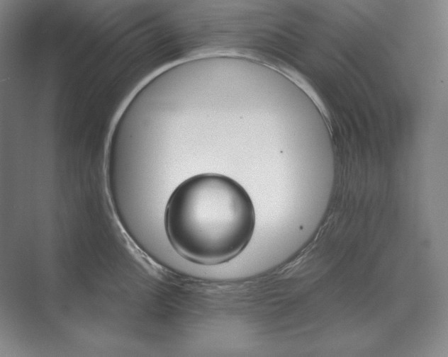 X0000071331148200607071625