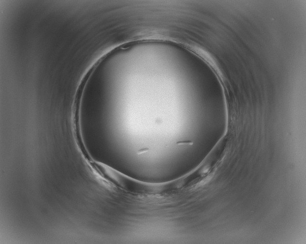 X0000071331149200607071626