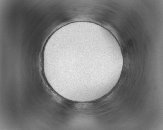 X0000071331150200607071626