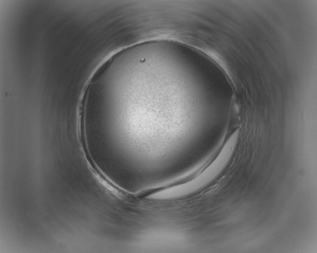 X0000071331151200607071626