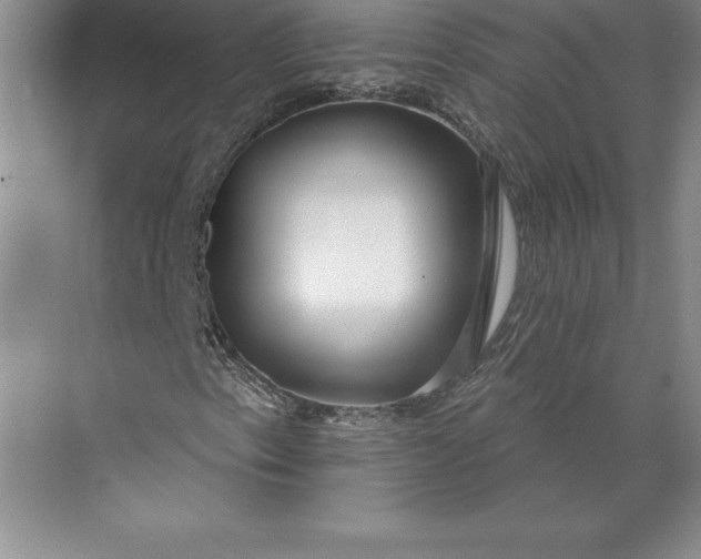 X0000071331153200607071625