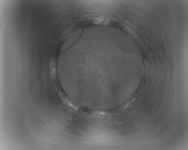 X0000071331154200607071625