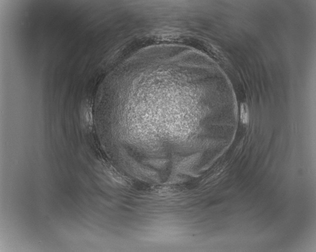 X0000071331155200607071625