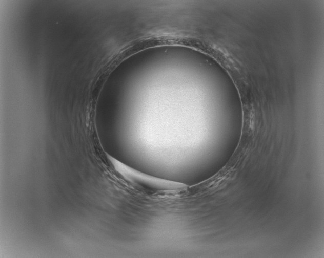 X0000071331157200607071625