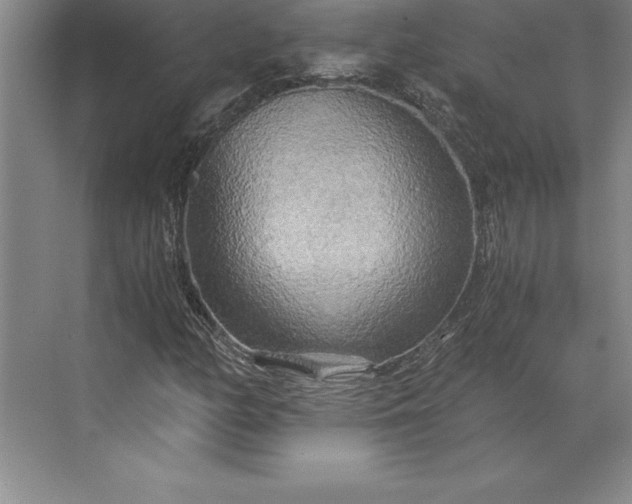 X0000071331158200607071625