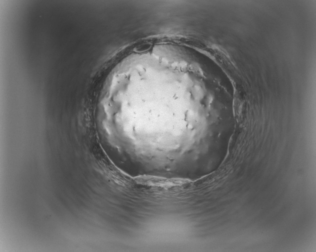 X0000071331159200607071625