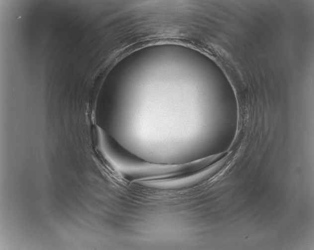 X0000071331161200607071625