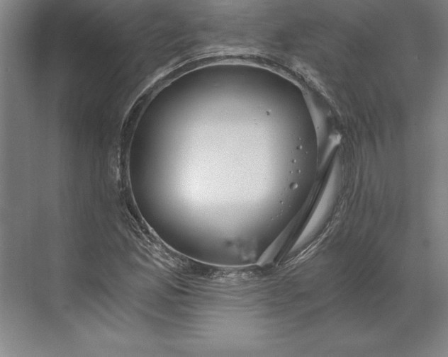 X0000071331165200607071625