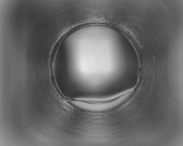 X0000071331168200607071624