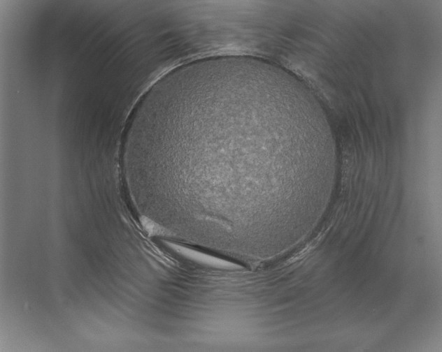 X0000071331170200607071624