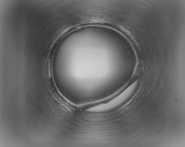 X0000071331171200607071624