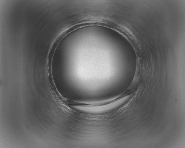 X0000071331172200607071624