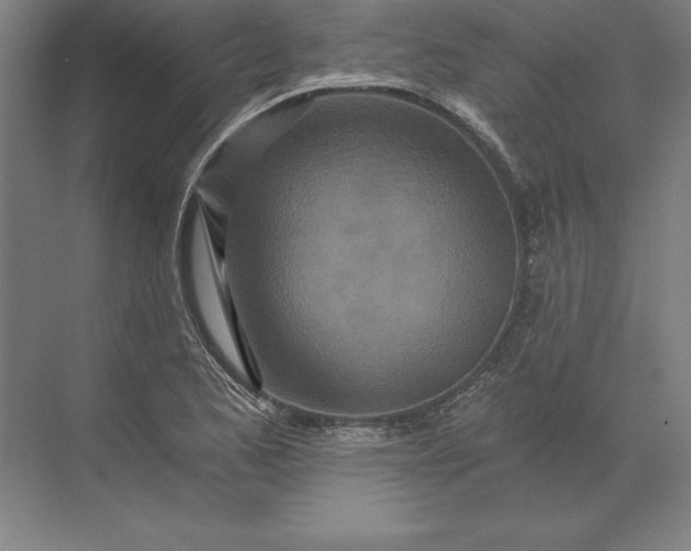 X0000071331173200607071624