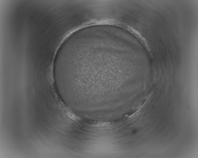 X0000071331174200607071624