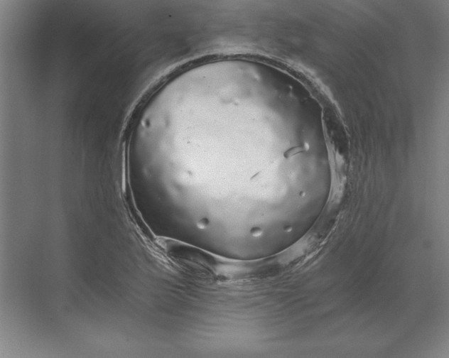 X0000071331175200607071624