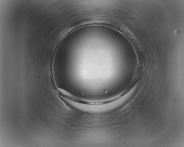 X0000071331177200607071624