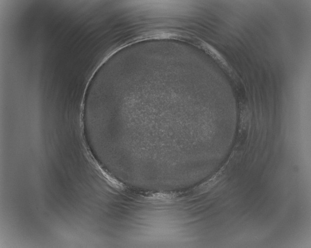 X0000071331178200607071624