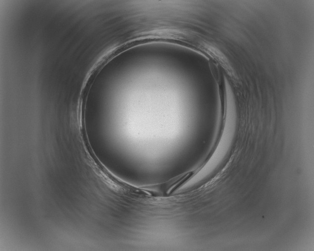 X0000071331180200607071624