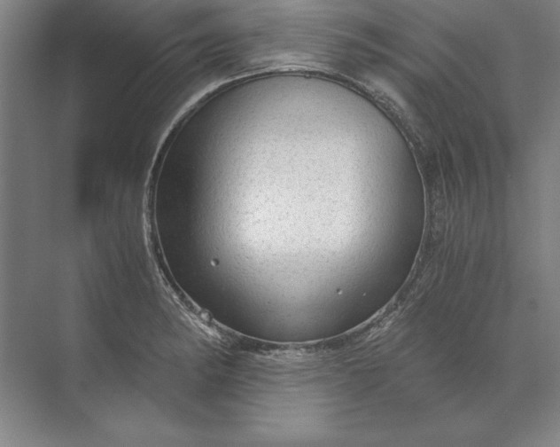 X0000071331182200607071624