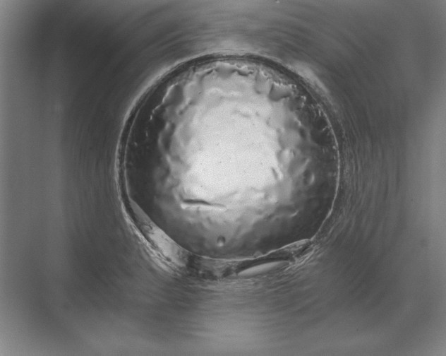 X0000071331183200607071624